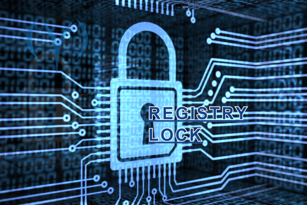 Registry Lock