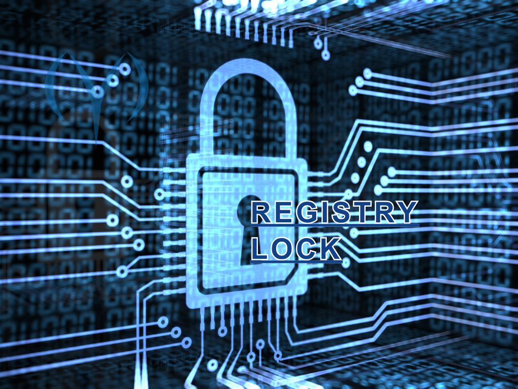 Registry Lock