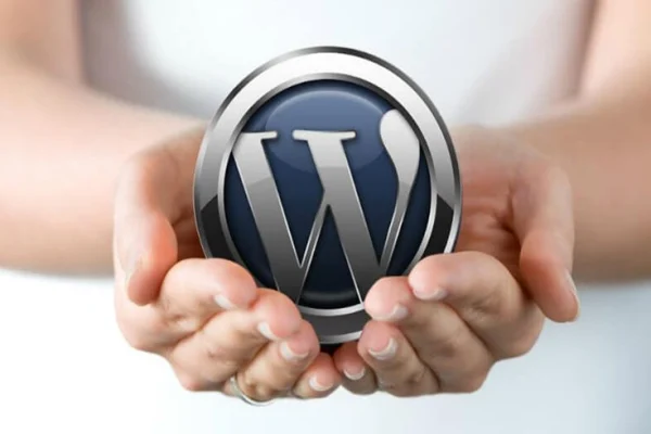 Tự thiết kế Website WordPress chuẩn SEO